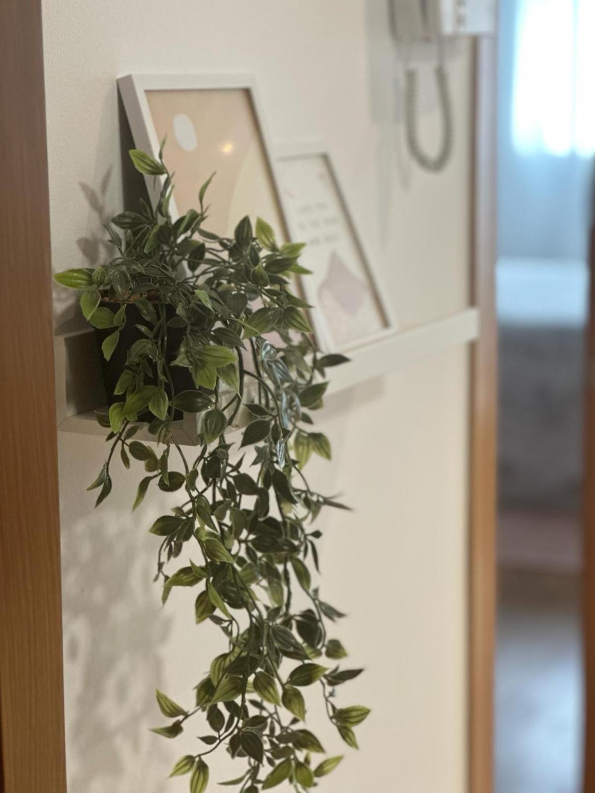 Apartament Vista Norte Barreiros Zewnętrze zdjęcie